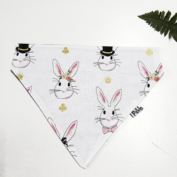 🐶 3 for $15 * Pablo Reversible Elegant Easter Bunnies Dog Collar - Picture 4 of 7